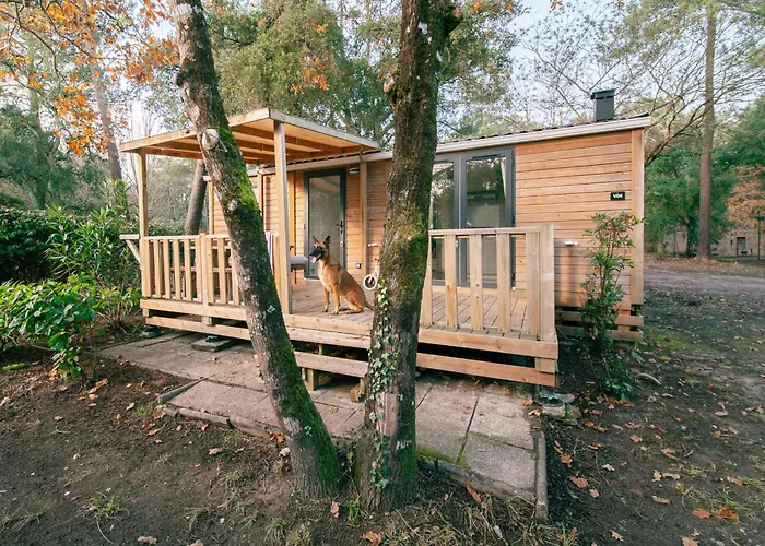 Camping Landae *